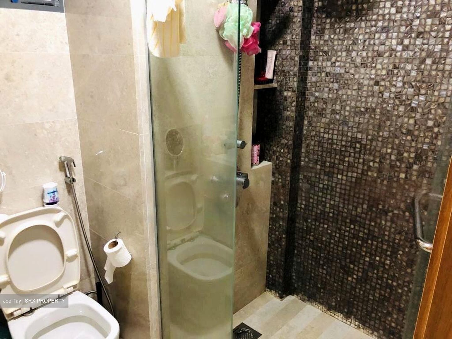 La Fiesta (D19), Condominium #473472641